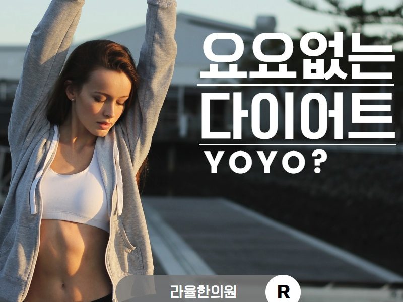 [칼럼] 요요현상없는 다이어트