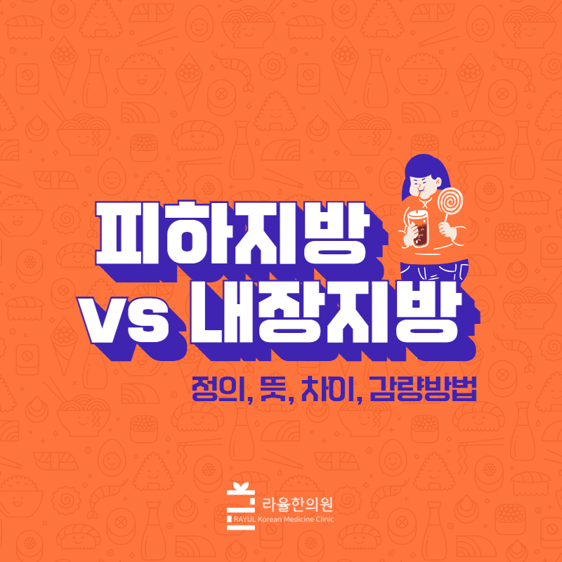 [칼럼] 피하지방 vs 내장지방. 정의, 뜻, 차이, 감량방법