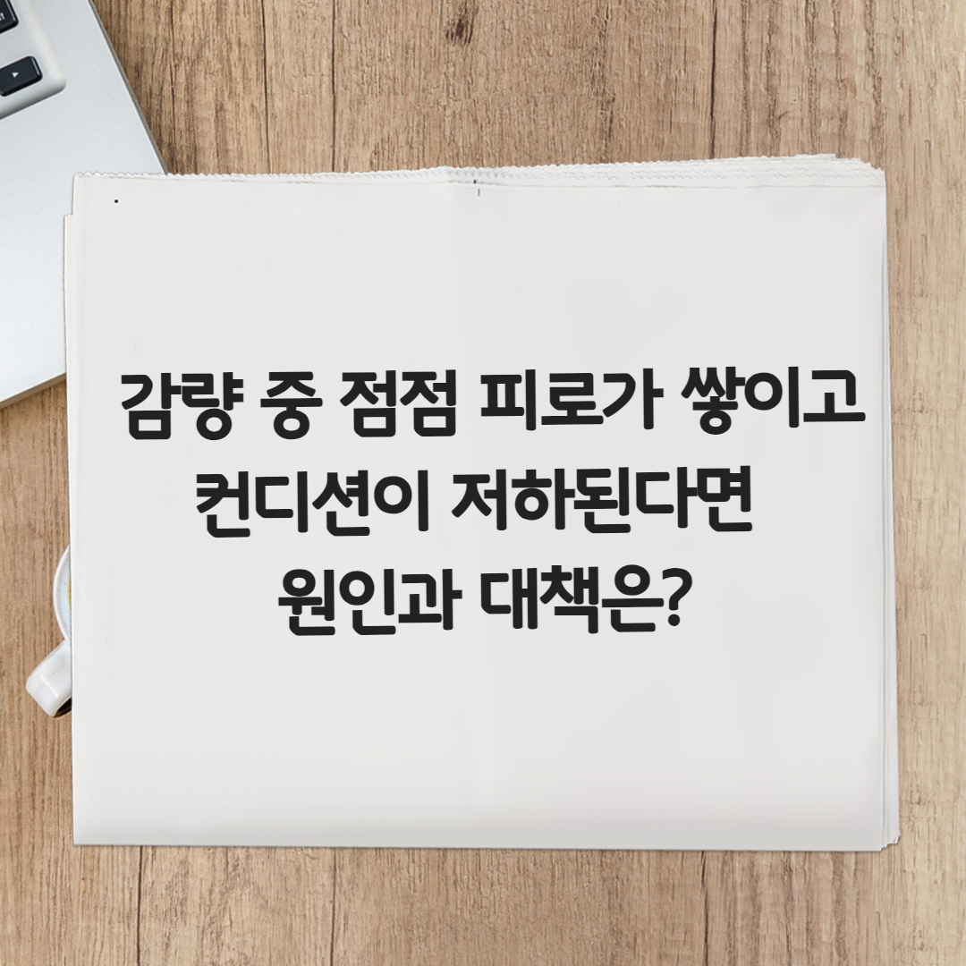 [칼럼] 감량 중 점점 피로가 쌓이고 컨디션이 저하된다면 원인과 대책은 ? ​