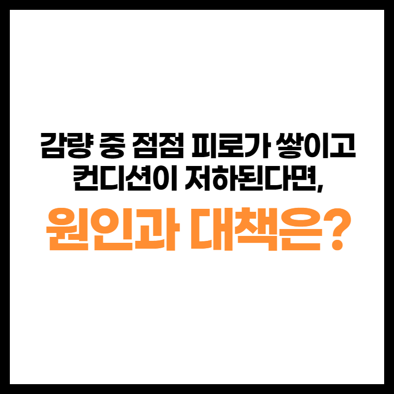 [칼럼] 감량 중 점점 피로가 쌓이고 컨디션이 저하된다면, 원인과 대책은?