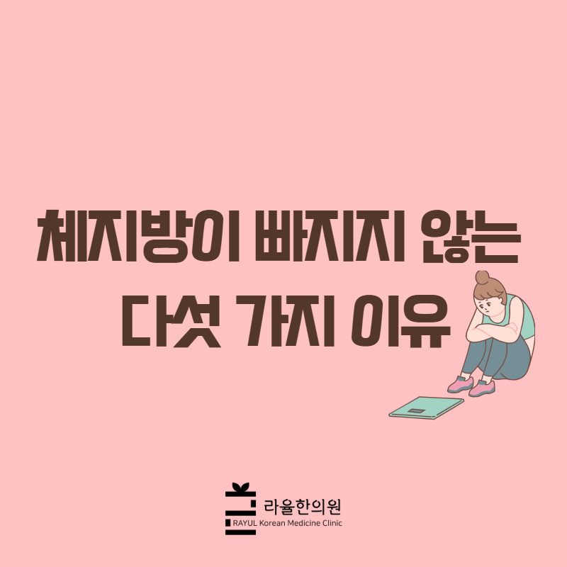 [칼럼] 체지방이 빠지지 않는 다섯 가지 이유