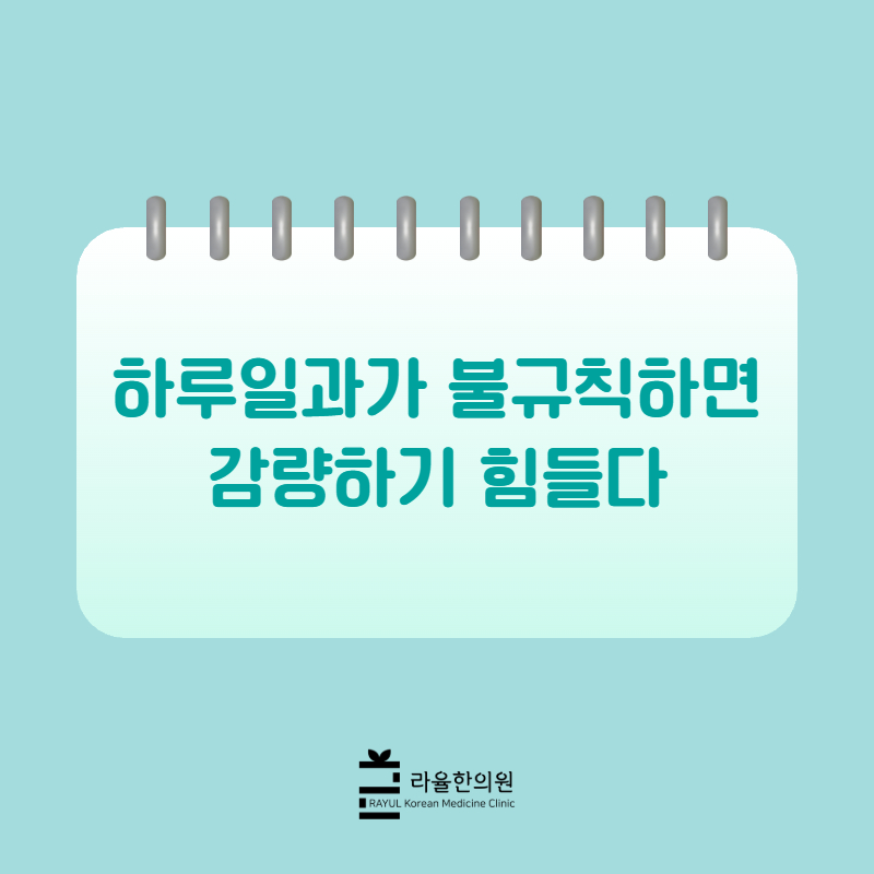 [칼럼] 하루일과가 불규칙하면 감량에 성공하기 힘들다