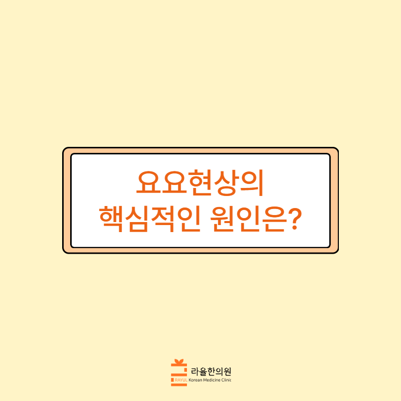 [칼럼] 요요현상의 핵심적인 원인은?