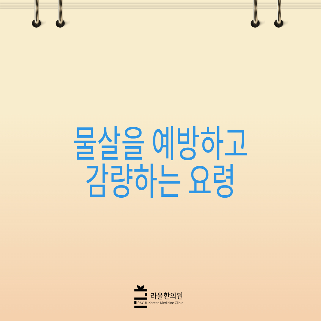 [칼럼] 물살을 예방하고 감량하는 요령