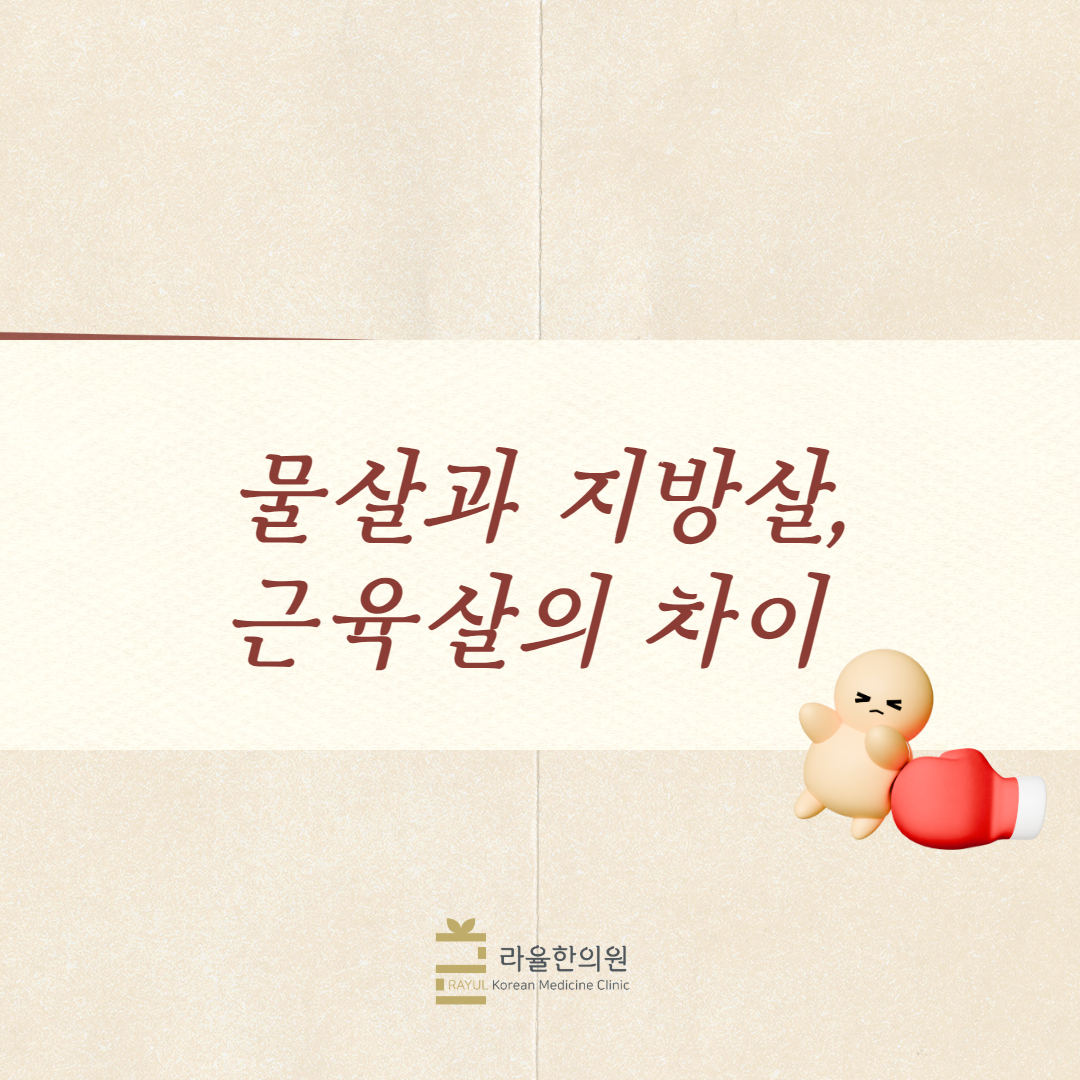 [칼럼] 물살과 지방살, 근육살의 차이