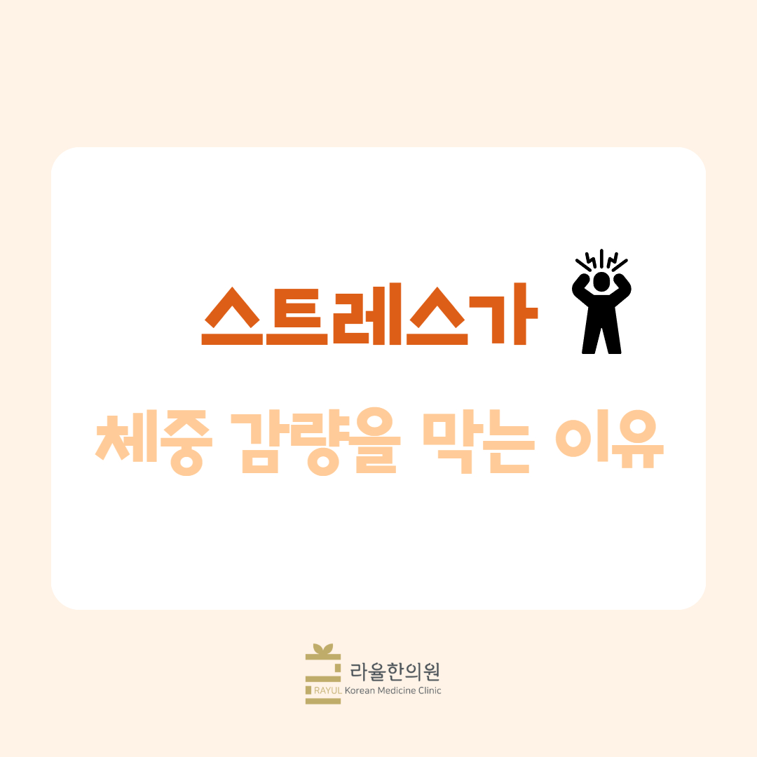 [칼럼] 스트레스가 체중 감량을 막는 이유